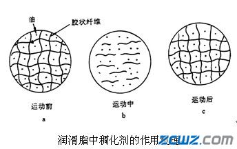 润滑脂的组成